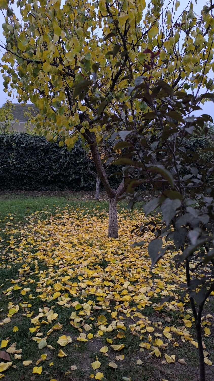 Photo #12846263