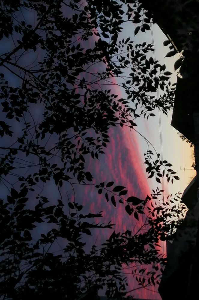 Photograph by Хайбуллина Флора