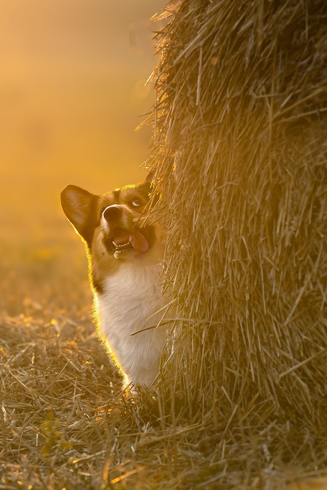Photograph by Анна Орлова