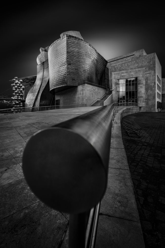 Silent Perspective