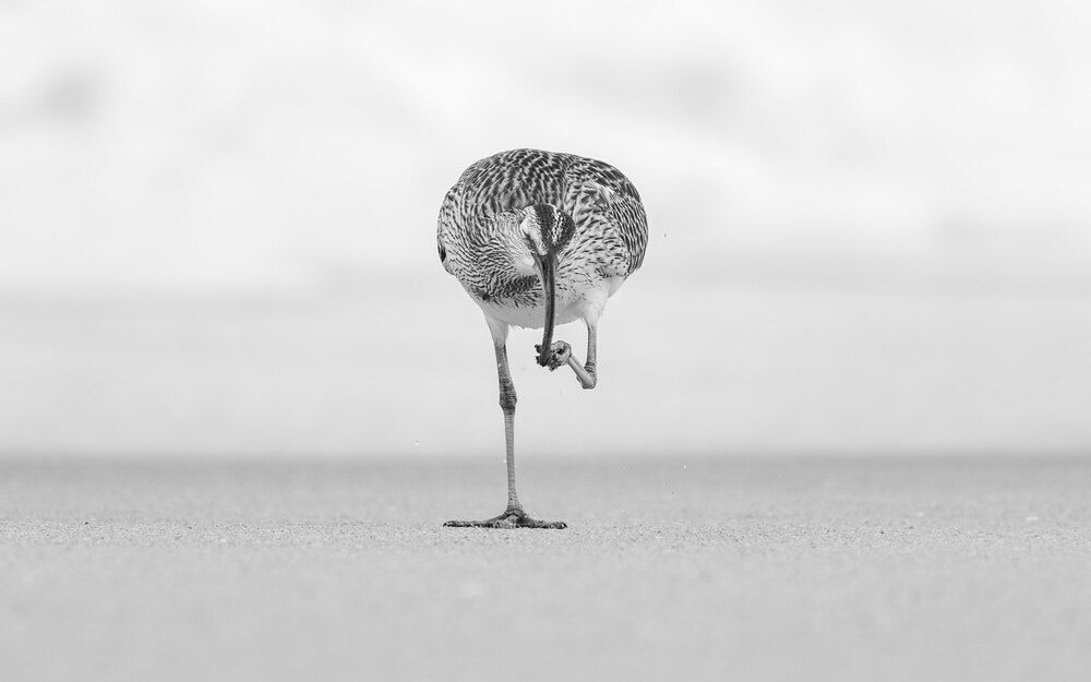 Photograph by Chathura De Silva