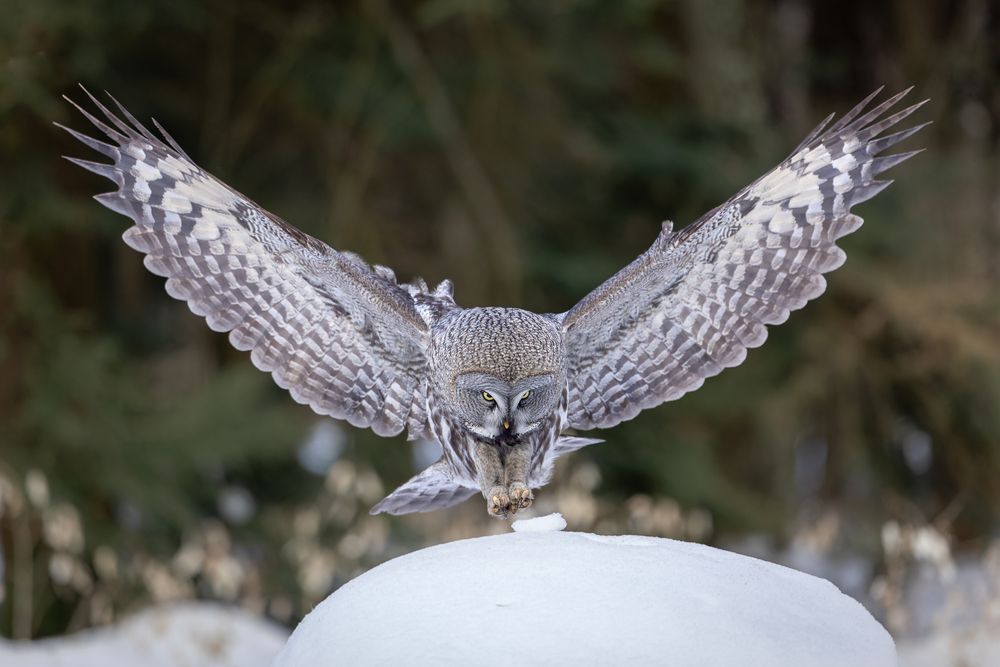 Photograph by Антон Науменко