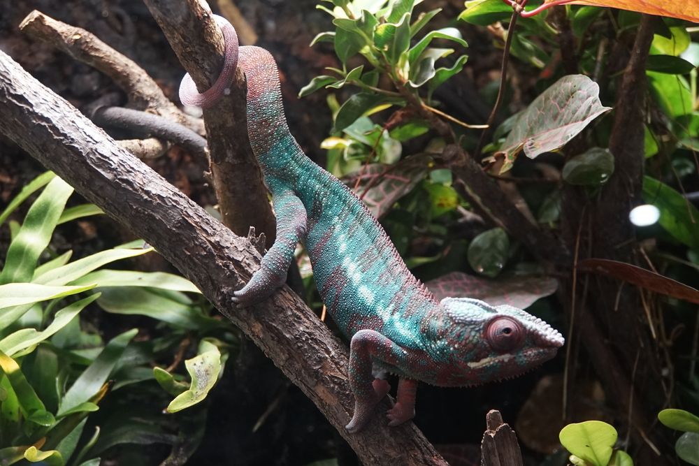 Photograph by сергей мишаков