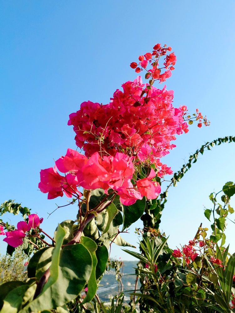 Photograph by Яна