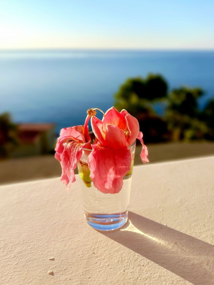 Photograph by Яна