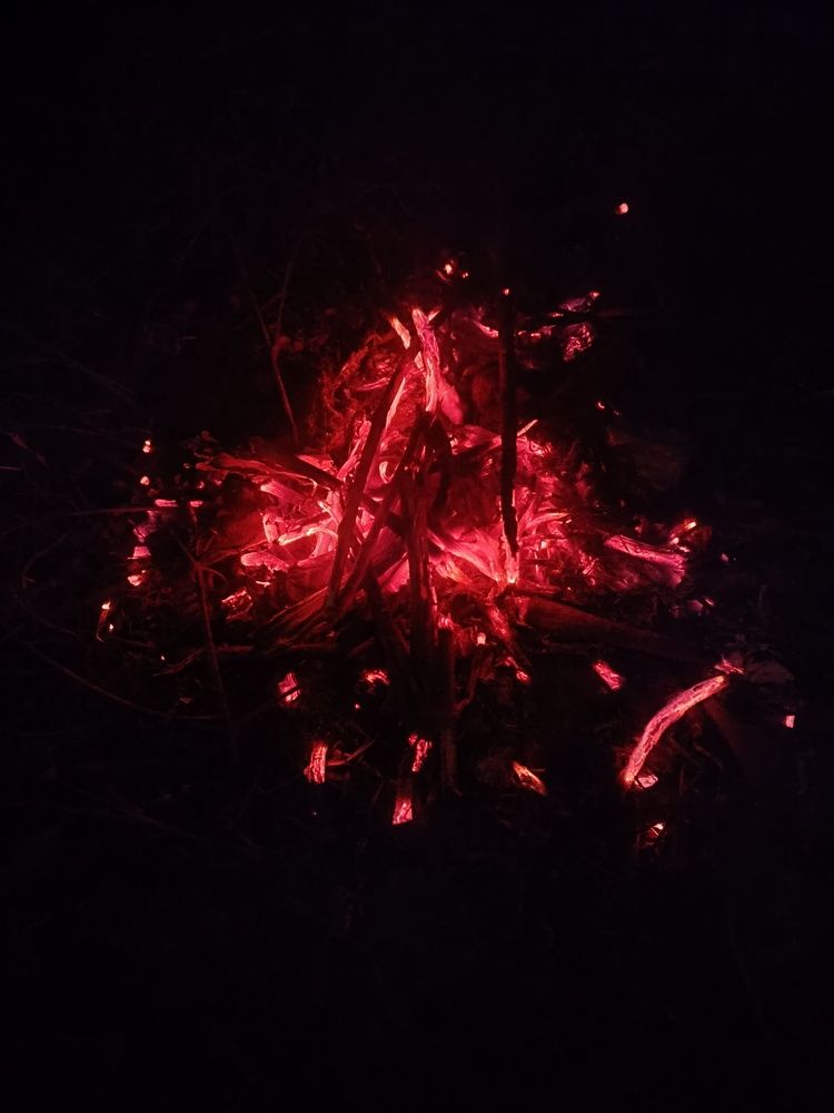 Photo #12846593