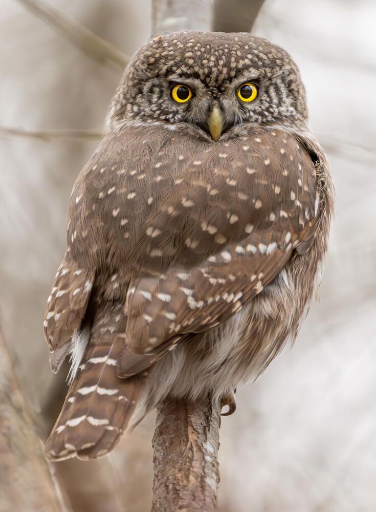 Photograph by Белов Александр