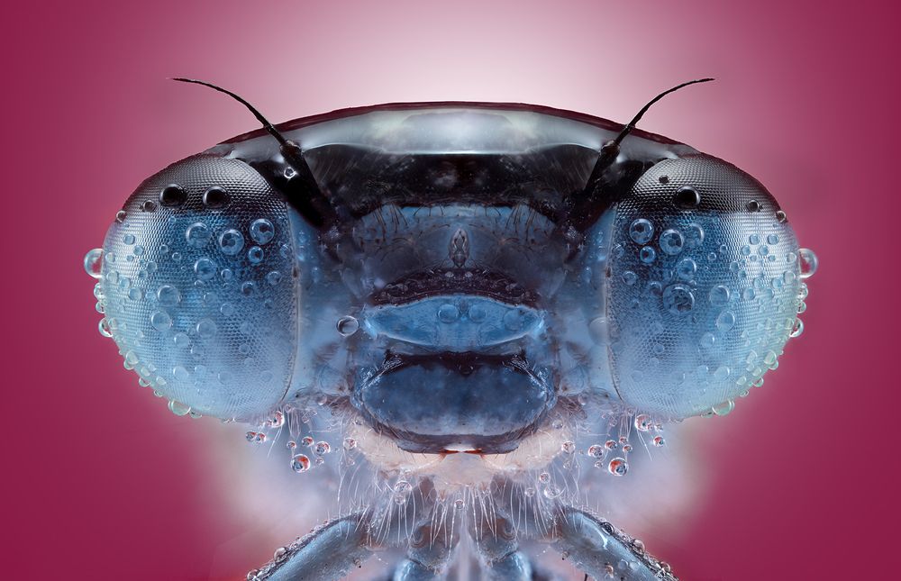 Photograph by Pedro Luis Ajuriaguerra Saiz