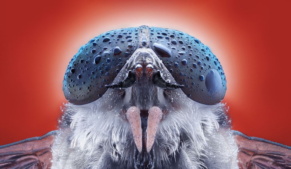 Photograph by Pedro Luis Ajuriaguerra Saiz