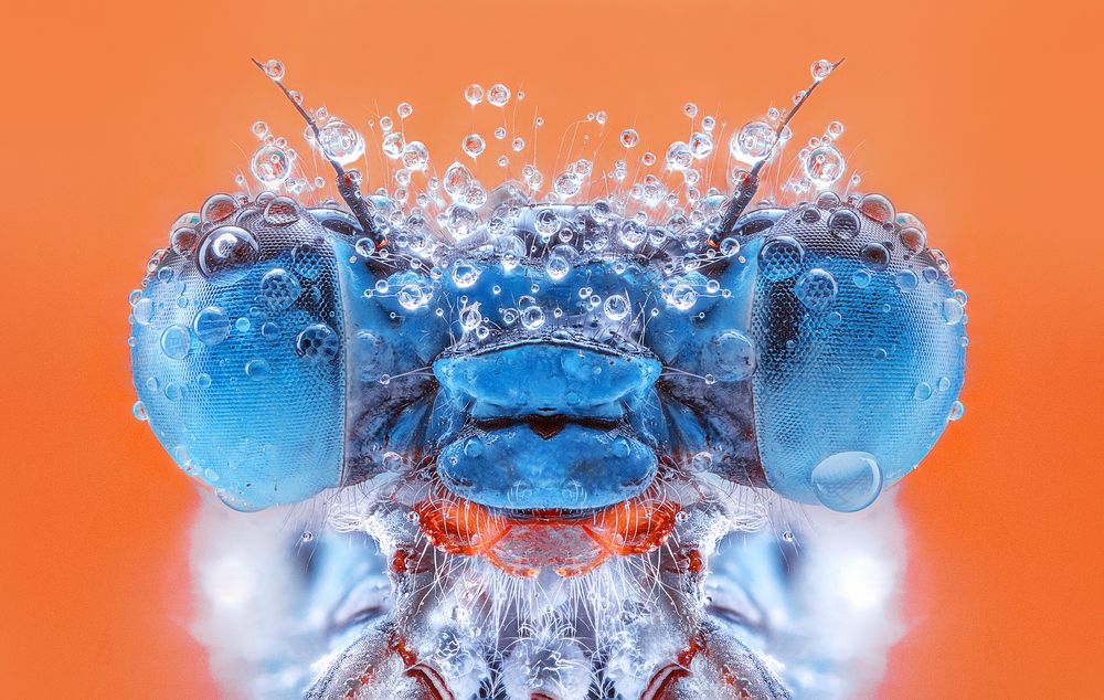 Photograph by Pedro Luis Ajuriaguerra Saiz