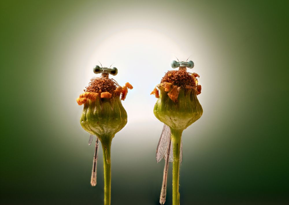 Photograph by Pedro Luis Ajuriaguerra Saiz