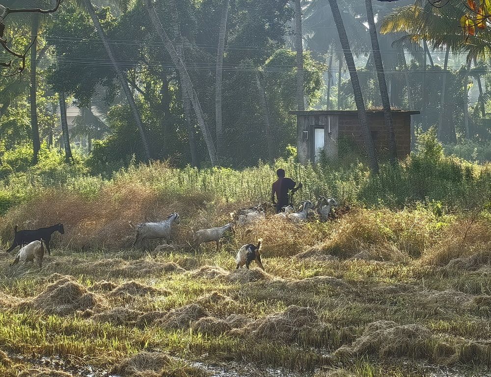 Photograph by Кристина Феминова