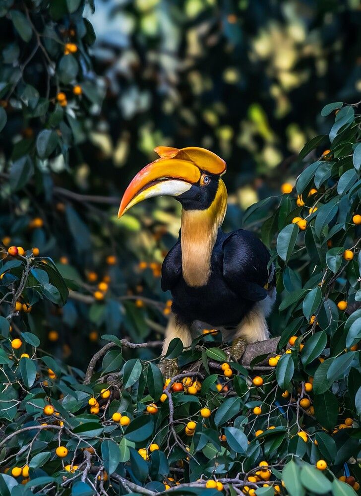 Photograph by Shiv Kumar Gupta
