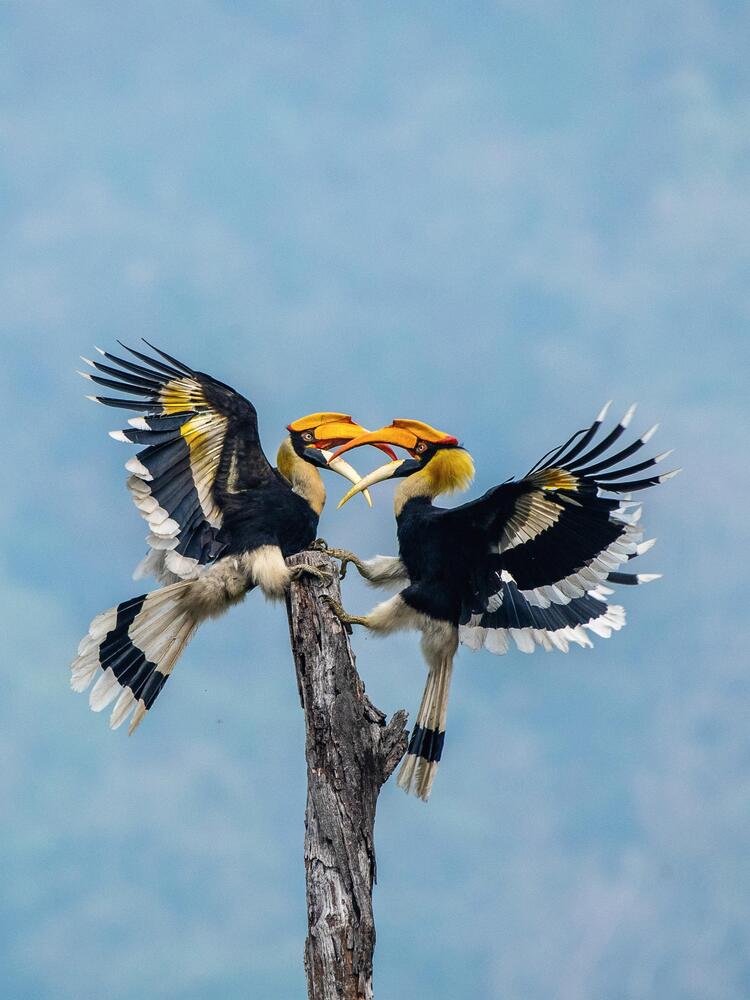 Photograph by Shiv Kumar Gupta