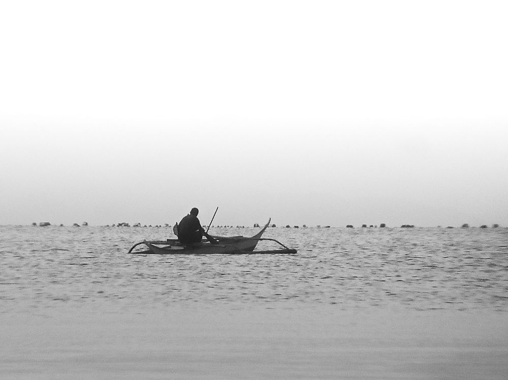 Photo #12846930