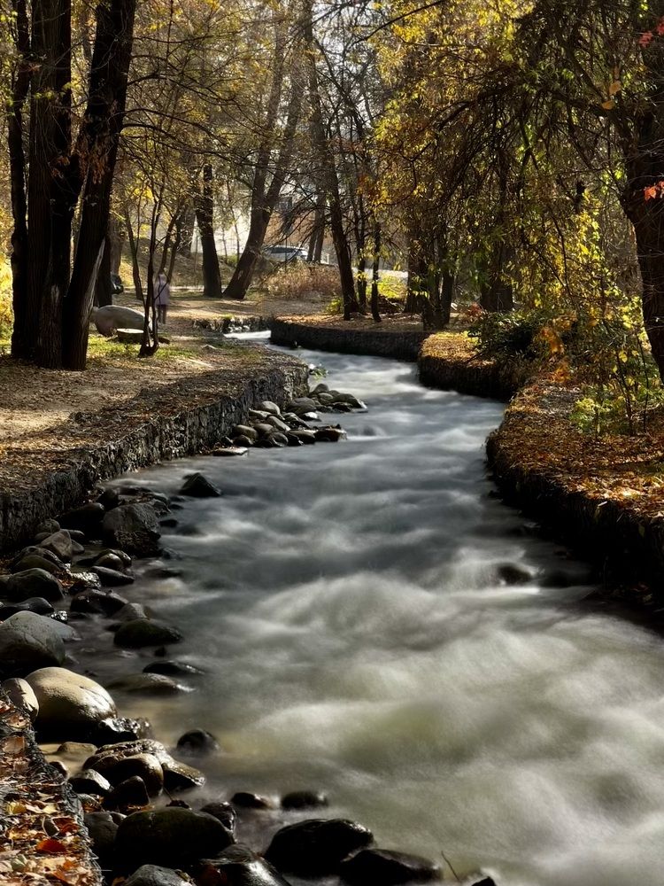 Photograph by Вероника Райхерт