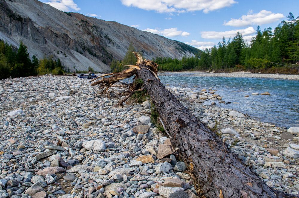 Фотография автора Александр Богданов