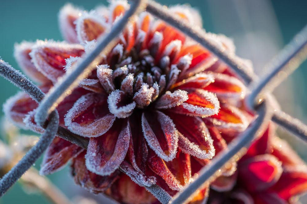 Photograph by Agita Leimane