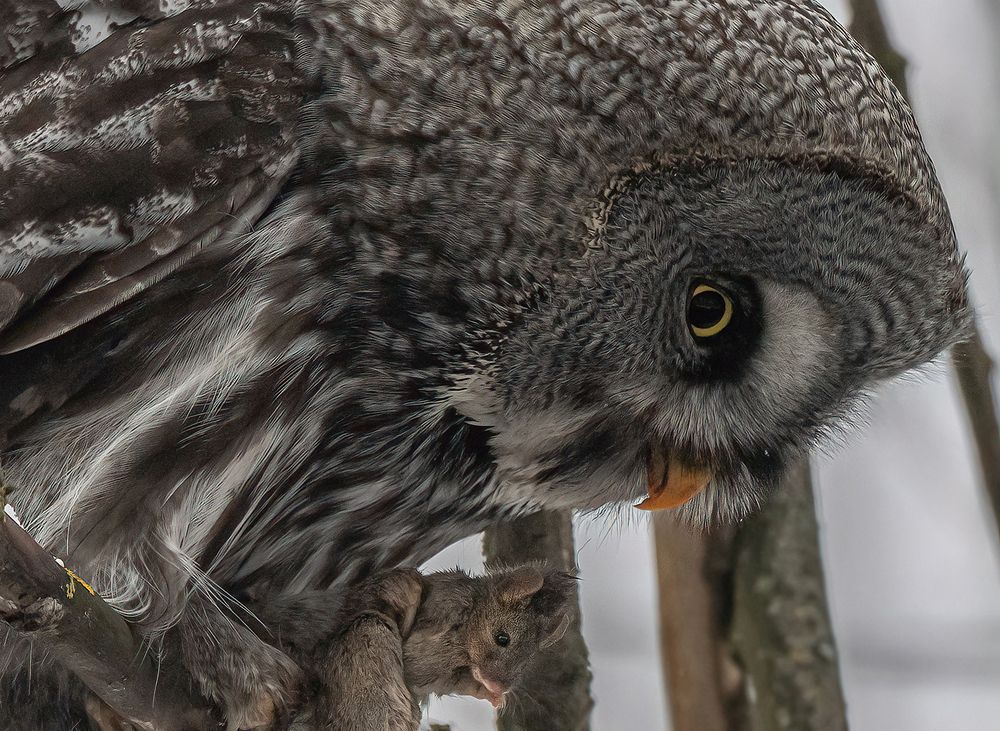 Фотография автора Andrey Semenov