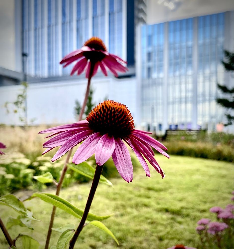 Photograph by Татьяна Шитлина