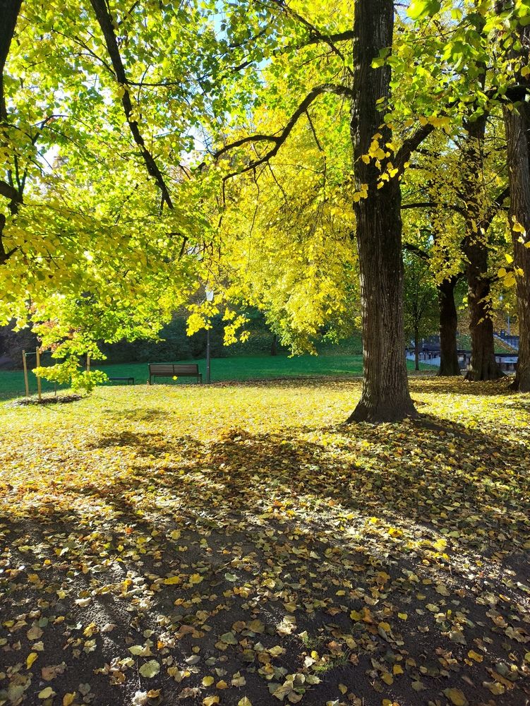 Фотография автора Лебедев Игорь