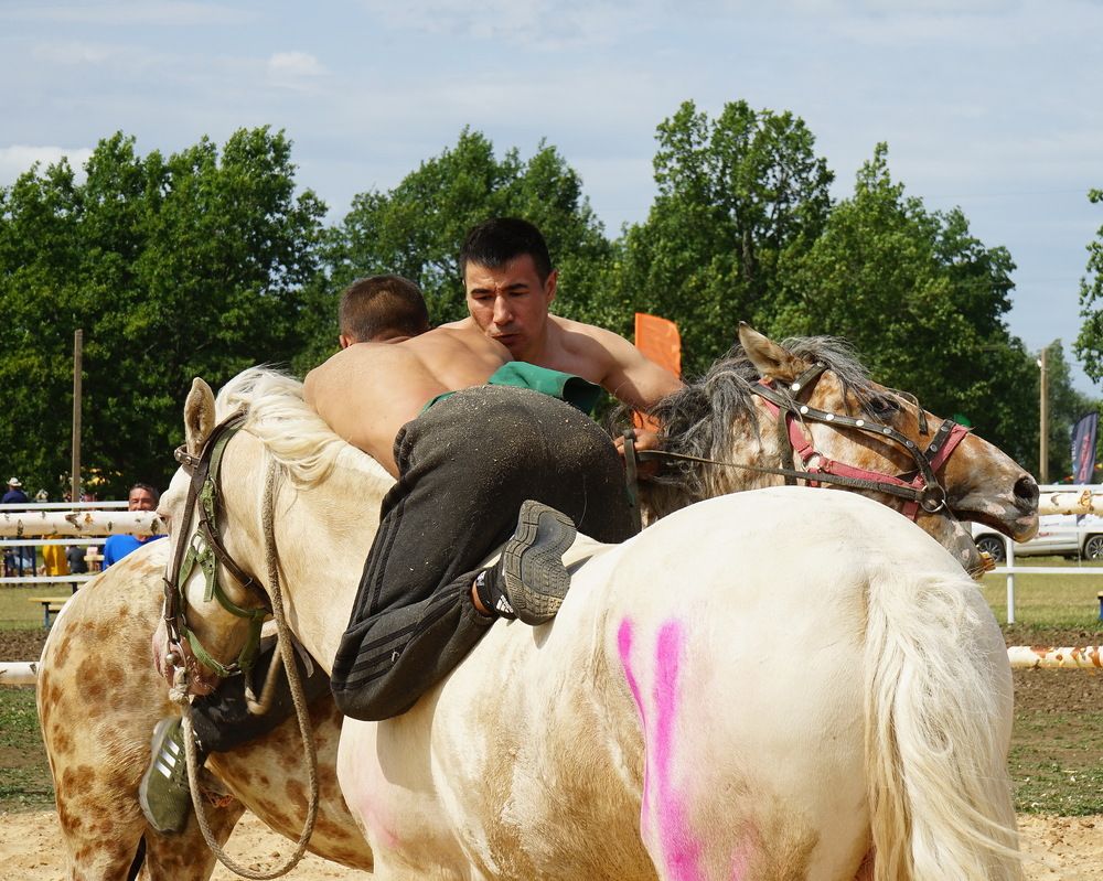 Фотография автора Игорь Винокуров