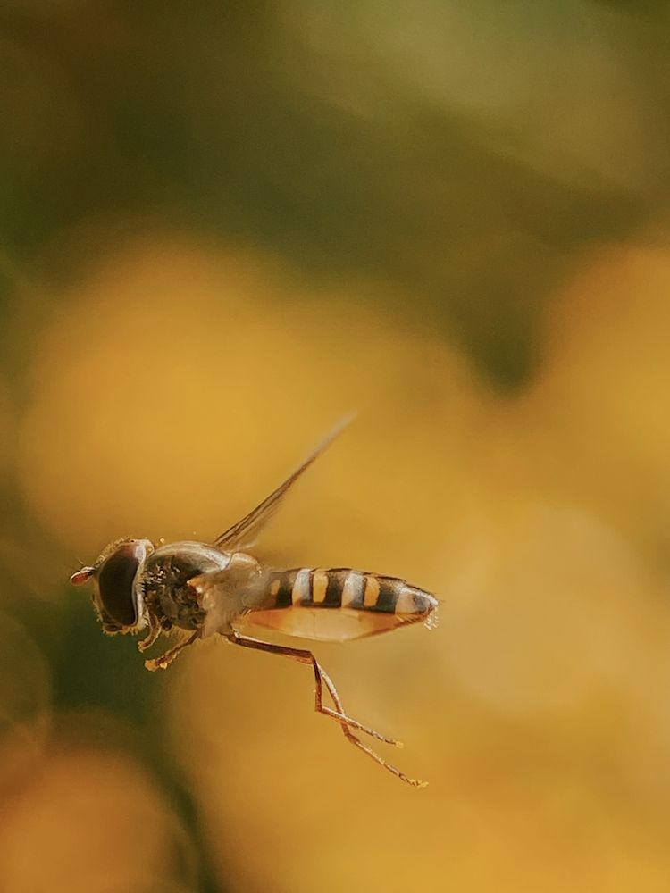 Photograph by Андрей Васильев