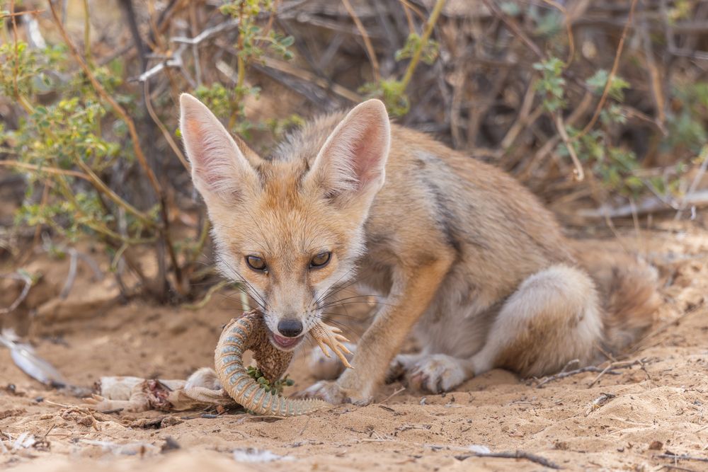 Photograph by Yash Darji