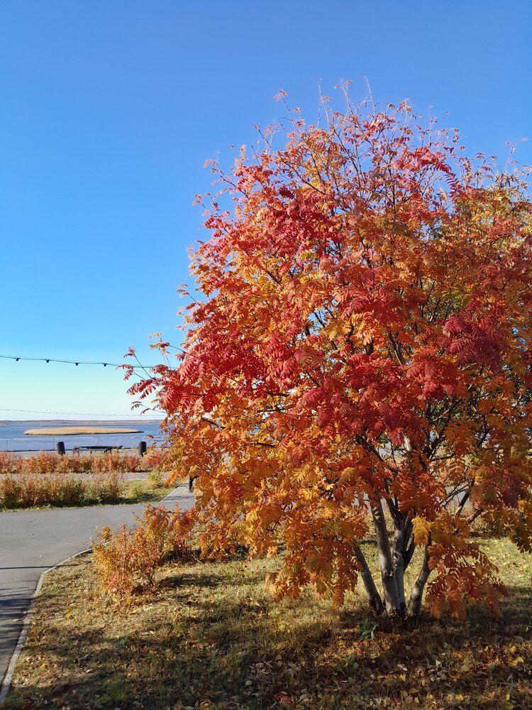 Photograph by Виталий Глазачев