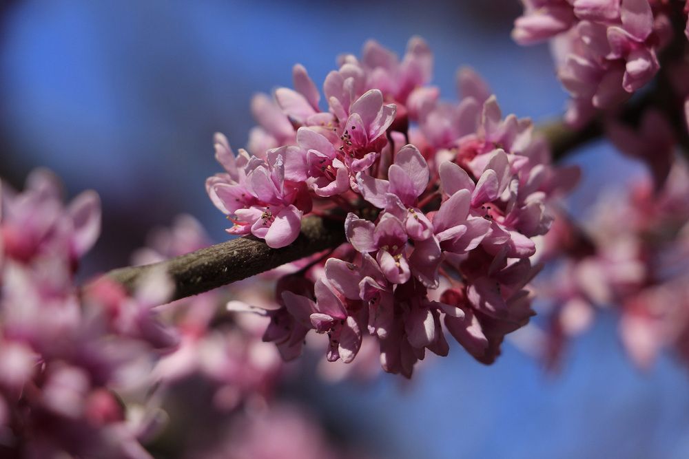 Photograph by Римма Волченко