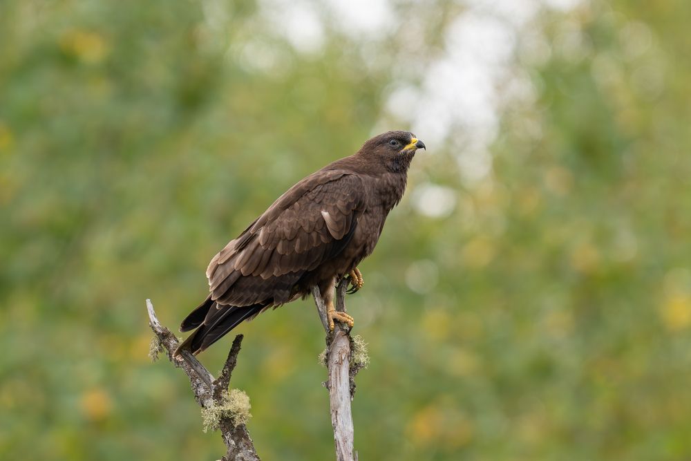 Photograph by Альварис Сукманюк