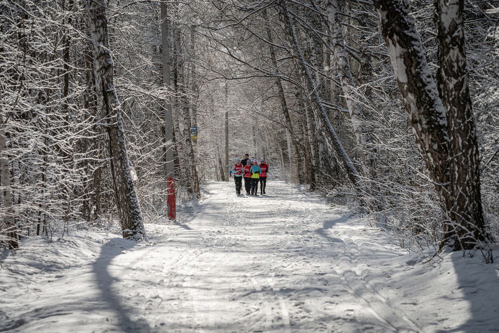 Photograph by Альварис Сукманюк