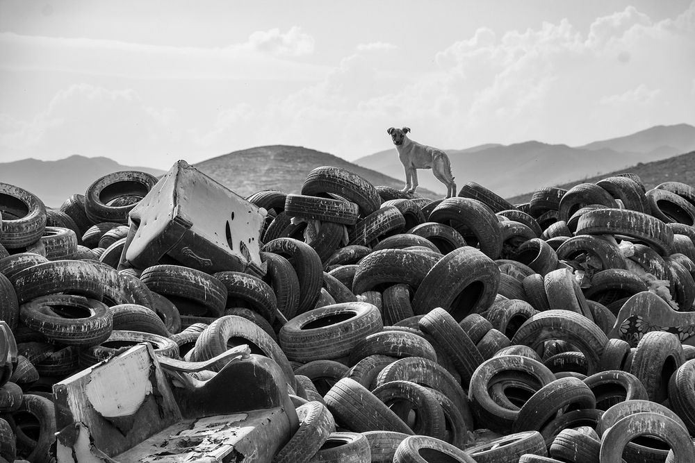 Photograph by Loghman Naderpour