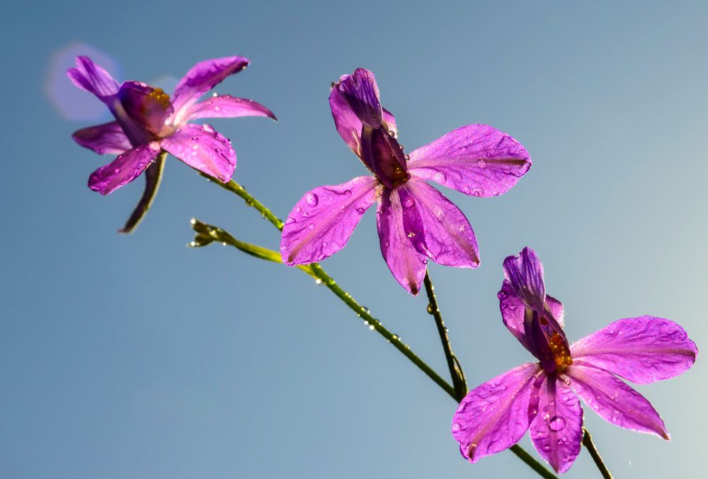 Photograph by Римма Волченко