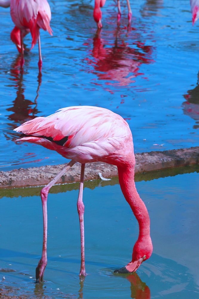 Photograph by Гагик Саркисян