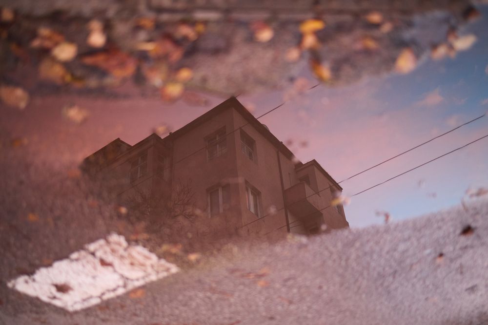 Photograph by Мартин Лазаров