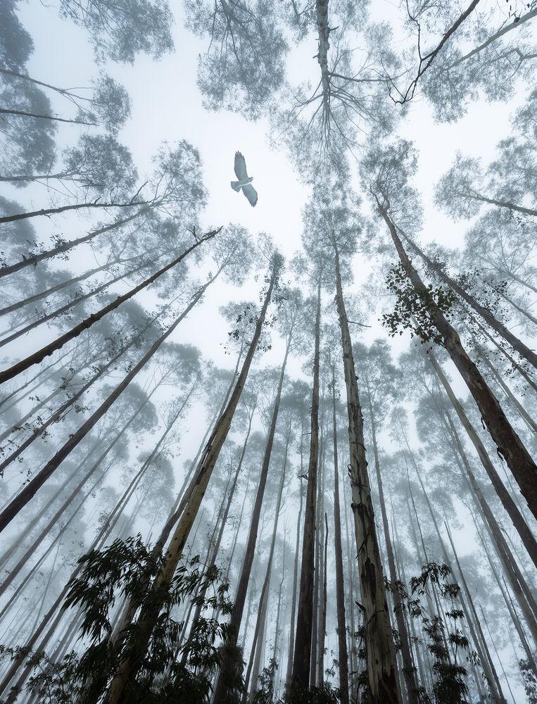 Photograph by Valdir Hobus