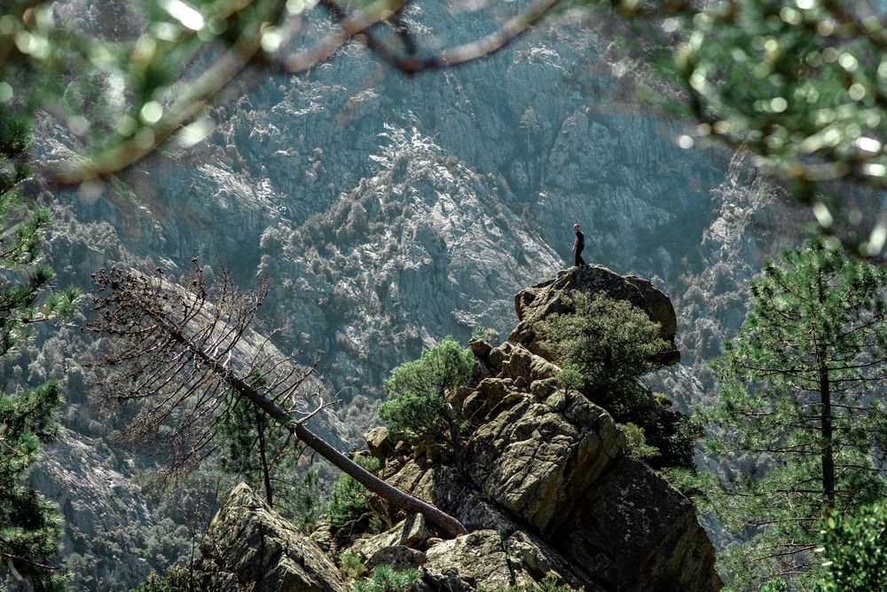 Фотография автора Katherine Mils