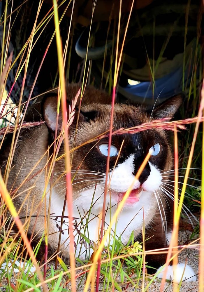 Photograph by Anna Dalinger