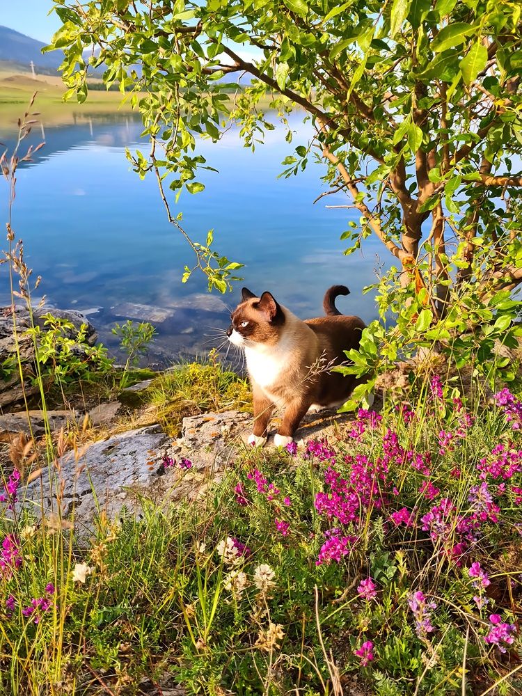 Photograph by Anna Dalinger