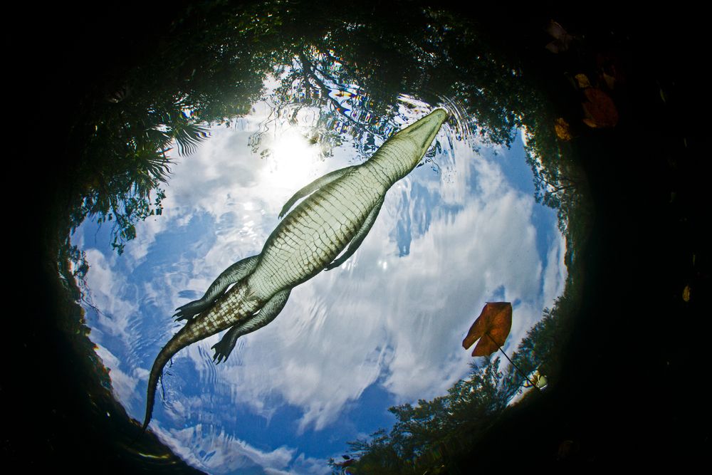 Photograph by Carlos Eduardo Barreto Pinheiro