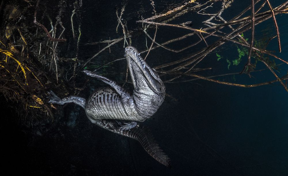 Photograph by Carlos Eduardo Barreto Pinheiro