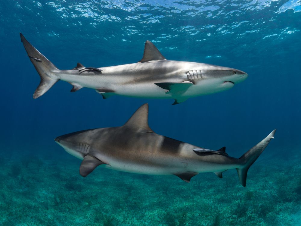 Photograph by Carlos Eduardo Barreto Pinheiro