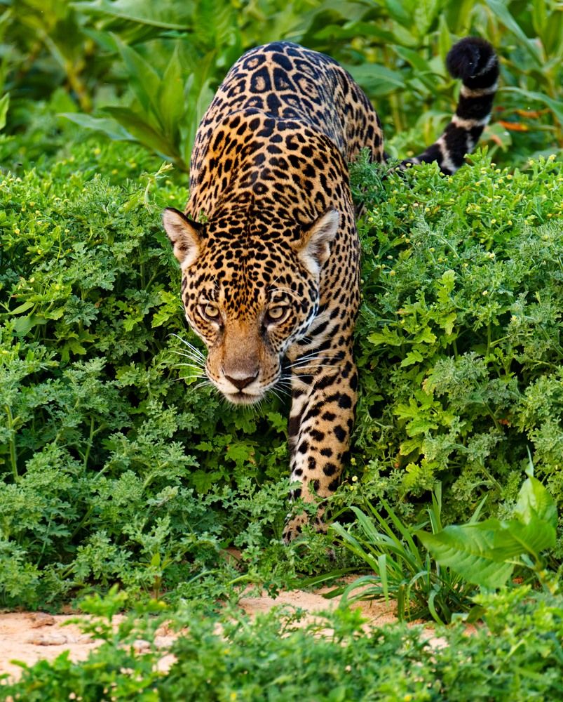 Photograph by Игорь Щербаков