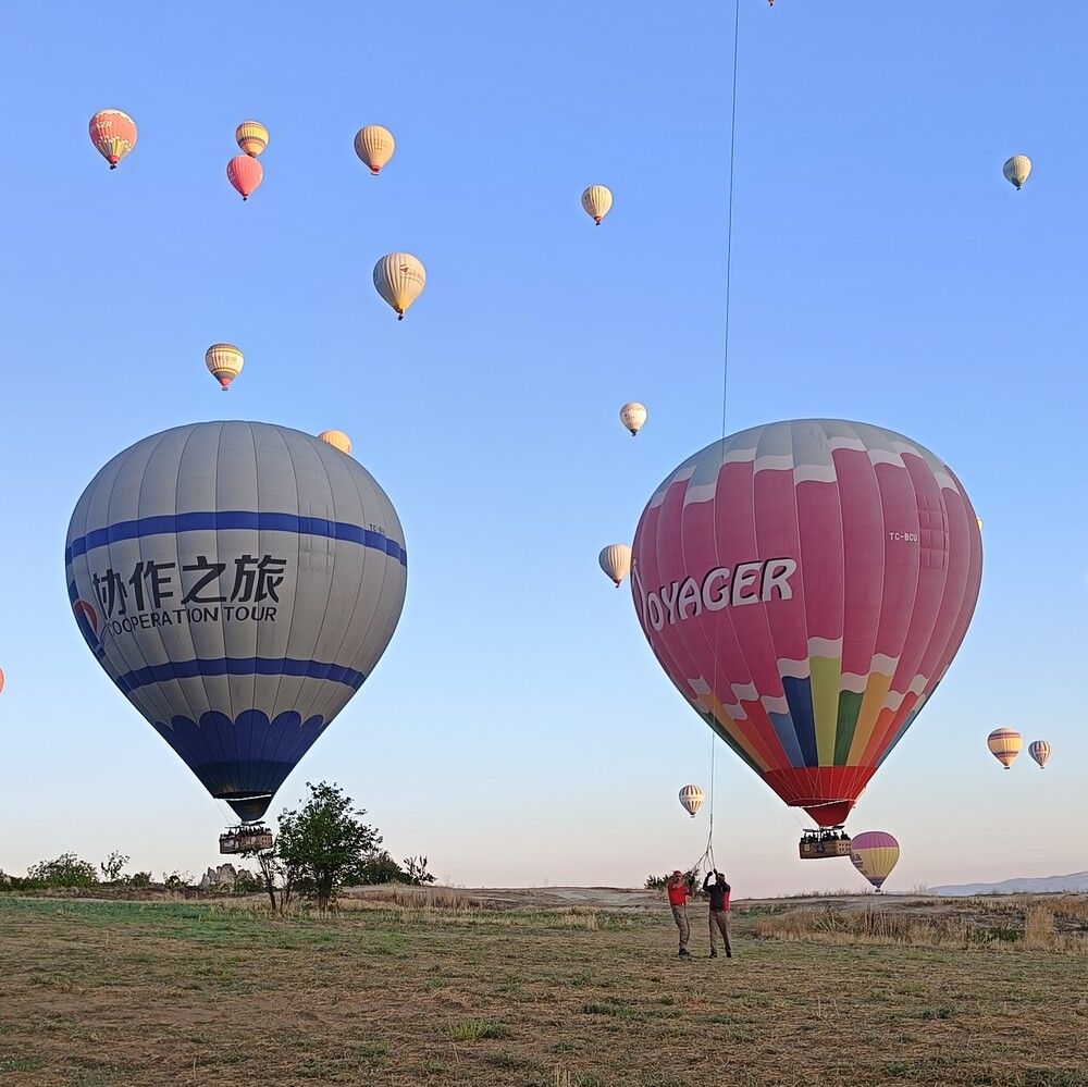 Фотография автора Елена Александрова