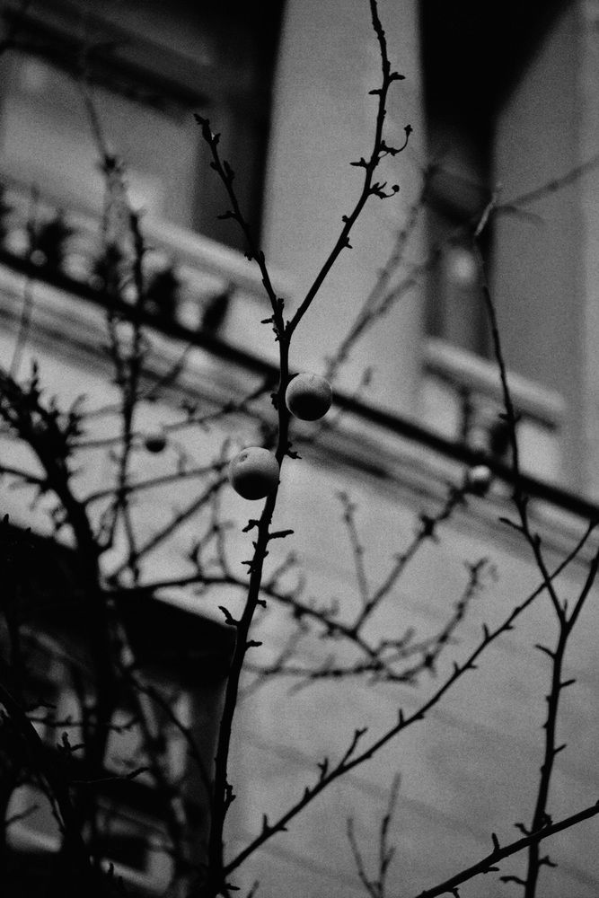Photograph by Ирина Волгина