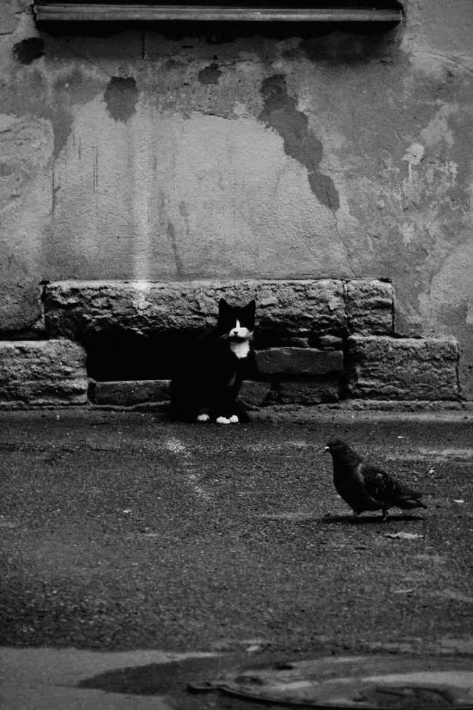 Photograph by Ирина Волгина
