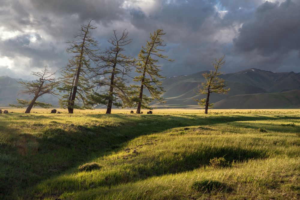 Photograph by Александр Нерозя