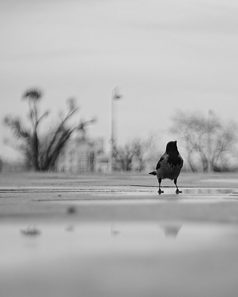 Photograph by Затямин Александр