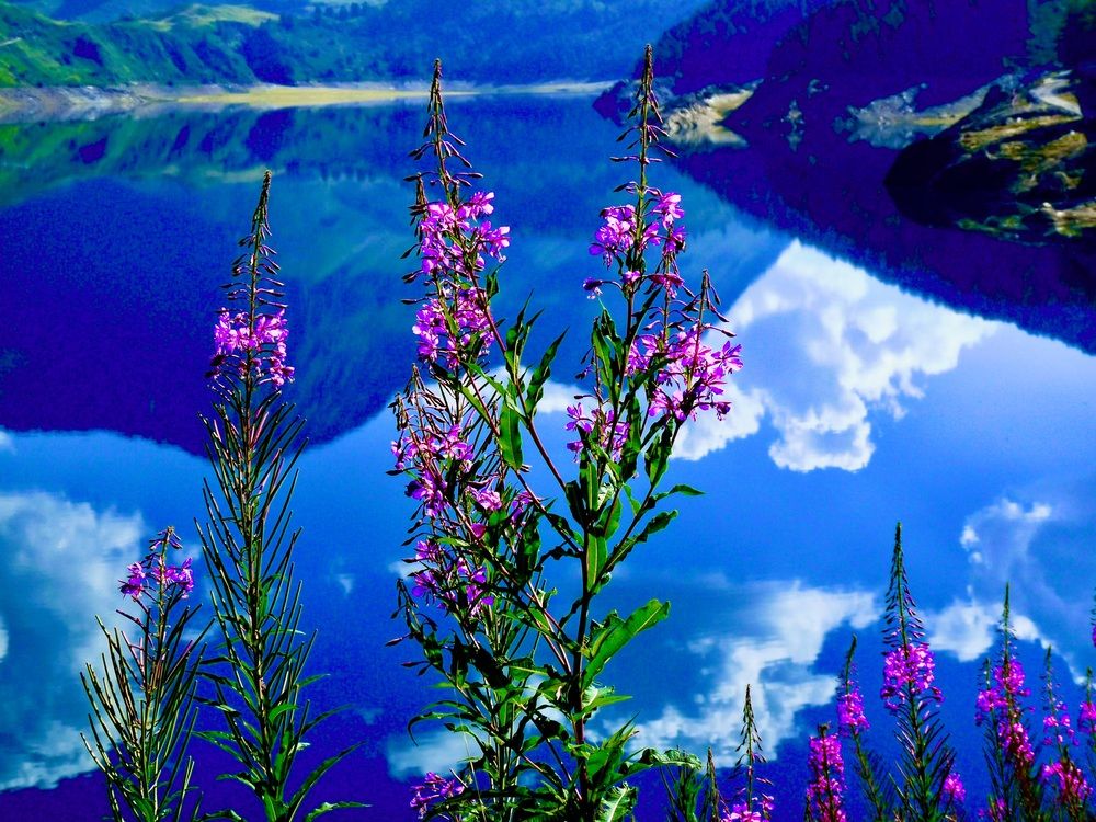 Photograph by Dario Meroni